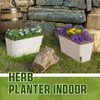SiliFine 6 Set Window Herb Planter Box Self Watering Plant