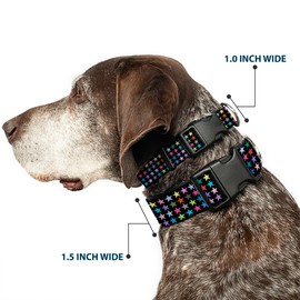 Buckle-Down Plastic Clip Collar - Mini Stars Black/Multi Color - 1" Wide - Fits 11-17" Neck - Medium