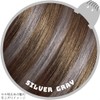 Liese 1-Day Hair Monster, Silver Gray, Point Color, Change Your