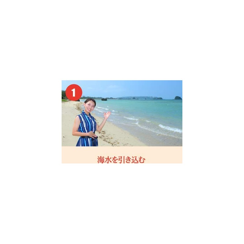 屋我地島の塩 100g