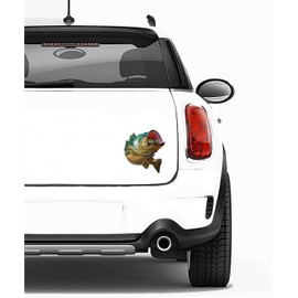 Bass Fish Sticker Decal Fishing Bumper Sticker Auto Decal Car,SUV,Truck, Boat,RV, Ship,Rod Tackle Box 6 INCHES