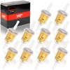 1PZ F01-FH1 Fuel Filter 6mm 8mm Universal Fuel Filter Motorcycle