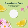 BLUELAND Laundry Detergent Tablets, 120 Count, Spring Bloom Scent, Plastic-Free