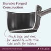 Anolon Accolade Forged Hard Anodized Nonstick Deep Frying Pan /