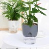APACALI Set of 4 Herb Pots, Kitchen Set, Windowsill, Self-Watering,