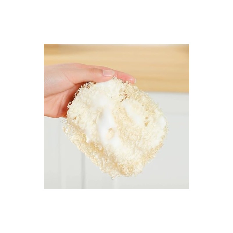 10 Esponja Vegetal Exfoliante Lufa 100% Natural Limpieza Corporal Elimina
