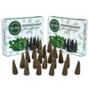 TRUMIRI Peppermint Incense Cones - Total 20 Cone Incense -