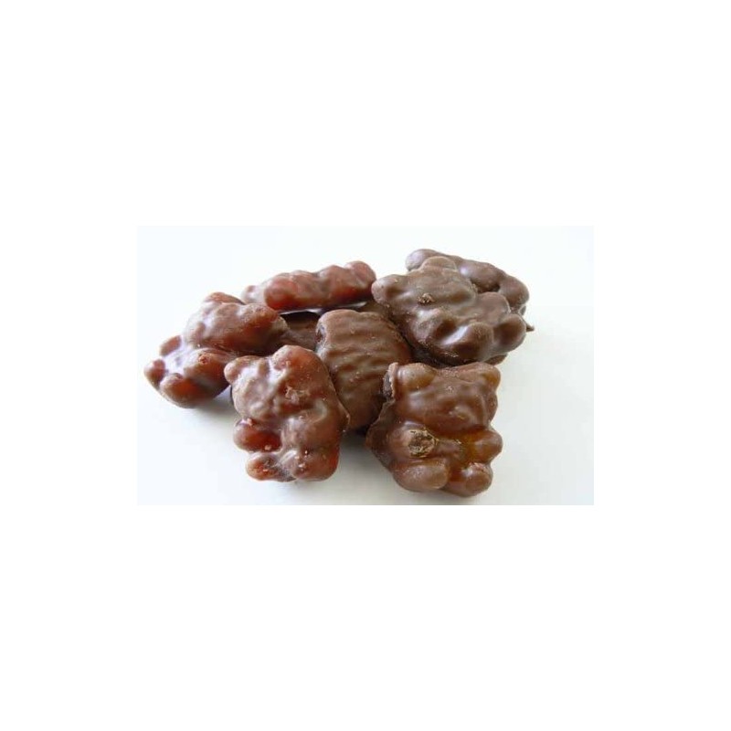 Milk Chocolate Covered Gummy Bears 1 One Pound Bag