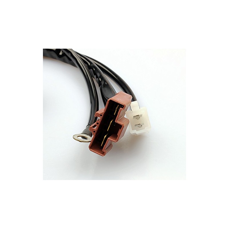 Voltage Regulator Tourmax RGU-602