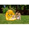 Poolmaster Inflatable Swimming Pool Kiddie Pool with Sun Shade, Baby