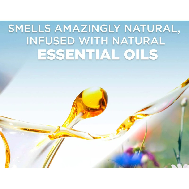 Air Wick 78048 Air Wick® Scented Oil Warmers 2 Count