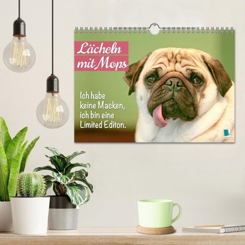 Smile with Pug (Wall Calendar 2025 DIN A4 Landscape), CALVENDO