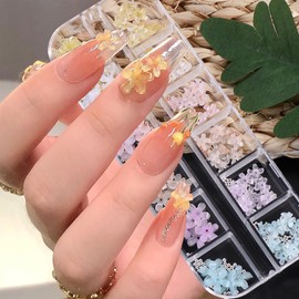 12 Grids 6 Colors Flower Nail Charms Flowers Nail Rhinestones Small Round Alloy Nails Art Charms Nail Supplies for Nail Gems Charms for Nails Design Manicure Decor Daily Acrylic Accessories