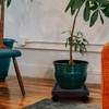 Cabilock Square Plant Stand Plant Saucer Tray with Wheels Pot
