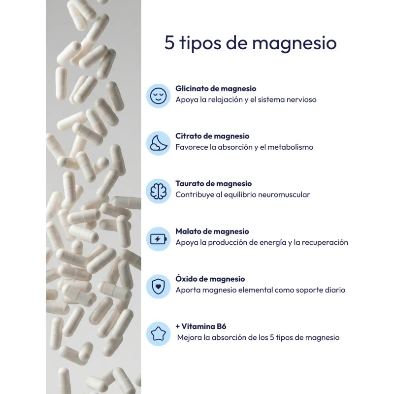 Molecular Labs Magnesio Cápsulas 600 Vitamina Tipos
