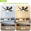 DAMINY 30 Inch Black and Gold 5 Blade Ceiling Fan
