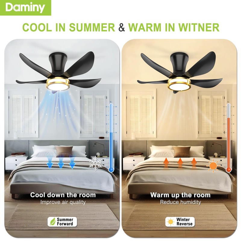 DAMINY 30 Inch Black and Gold 5 Blade Ceiling Fan