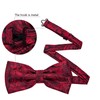 Barry.Wang Paisley Floral Bow Ties for Men Pre Tied Bowtie