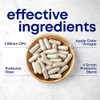 HerOwn Probióticos para Mujer, 11 Cepas con Inulina Prebiótica, 5