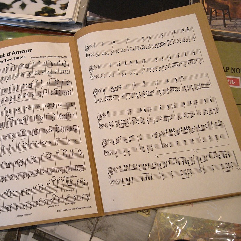 Ishihara Paper Scrapbook A4+2cm Wisteria K1-5