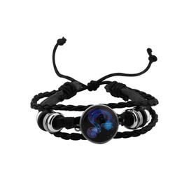 HOLLP Birthday Gift Zodiac Sign Bracelet Zodiac Jewelry Gifts for Women Men (Aquarius)