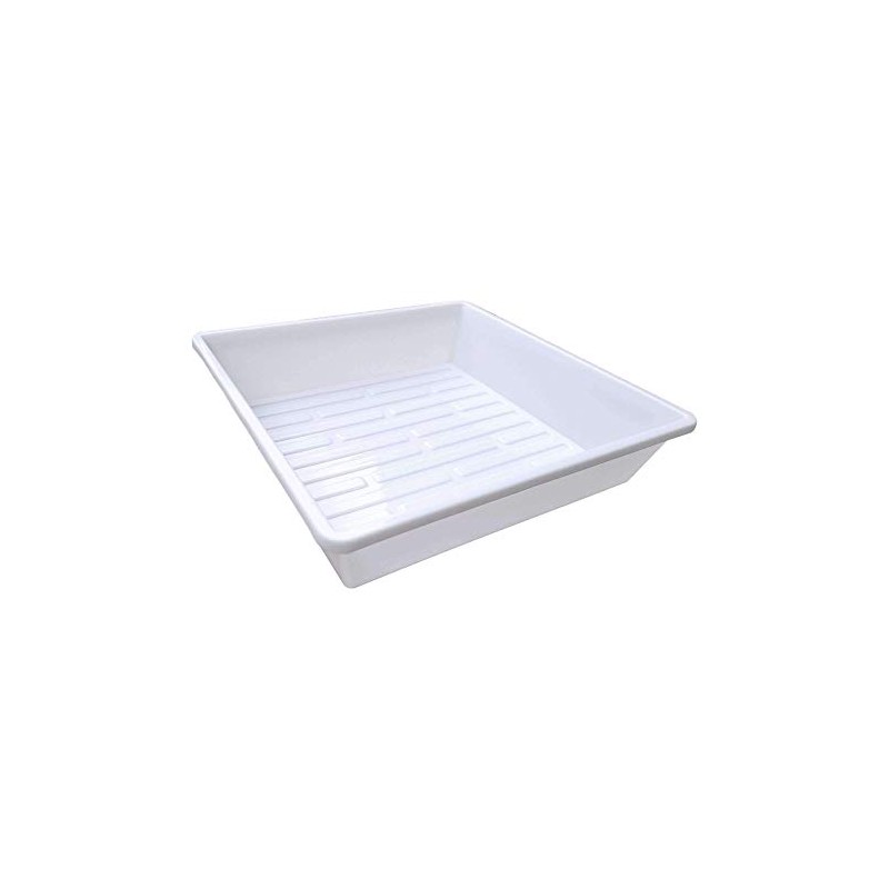 1010 Microgreen Tray, White No Hole 10 Pack Extra Strength