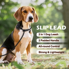 Erbine 6FT Slip Lead Dog Leash with Double Padded Handle, Anti-Tangle Slip Leads for Dogs, Reflective Nylon No-Pull Training Leash for Small Medium Dogs, Black/Orange