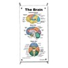 The Colorful Brain Mini Poster with X Stand