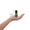 Plantlife Protect Aromatherapy Essential Oil Blend - Straight from The