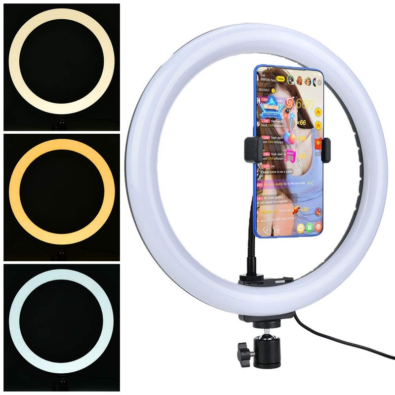 12 Inch Ring Light, 12W 160LED Circle Lights with Ball