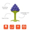 Innobaby Original Teethin Smart EZ Grip Fruit Teether and Sensory