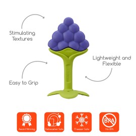 Innobaby Original Teethin Smart EZ Grip Fruit Teether and Sensory Toy for Babies and Toddlers in Grape. BPA Free Teether