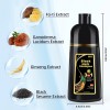 Unbranded 17oz 3 in 1 Black Hair Dye Shampoo Instant