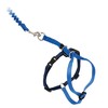 PetSafe Come With Me Kitty Harness and Bungee Leash, Harness