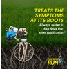 See Spot Run Lawn Protection Concentrate – 32 fl oz