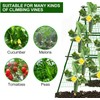 7Queen Cucumber Trellis Garden Trellis Arch Trellis, Tall Metal Trellis