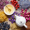 Wellness Organic Lavender Tea: Culinary Grade Lavender Flowers - Food