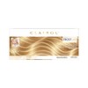 Clairol Nice 'n Easy Frost & Tip Original