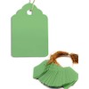 HomeTools.eu® 100 Plant Tags with String, Weatherproof, Plastic, 3.5 x
