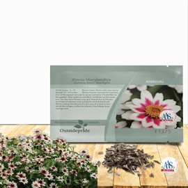 Outsidepride Zinnia Marylandica Zahara Rose Starlight Seeds – 50 Pcs. Annual Bicolor Blooms, Drought & Heat Tolerant Flower Seeds, Ideal for Garden Beds & Pollinator-Friendly Spaces (AAS Winner)