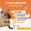 Albagarden - Trappola Adesiva MINI per Topi, Ratti, Scarafaggi, Formiche