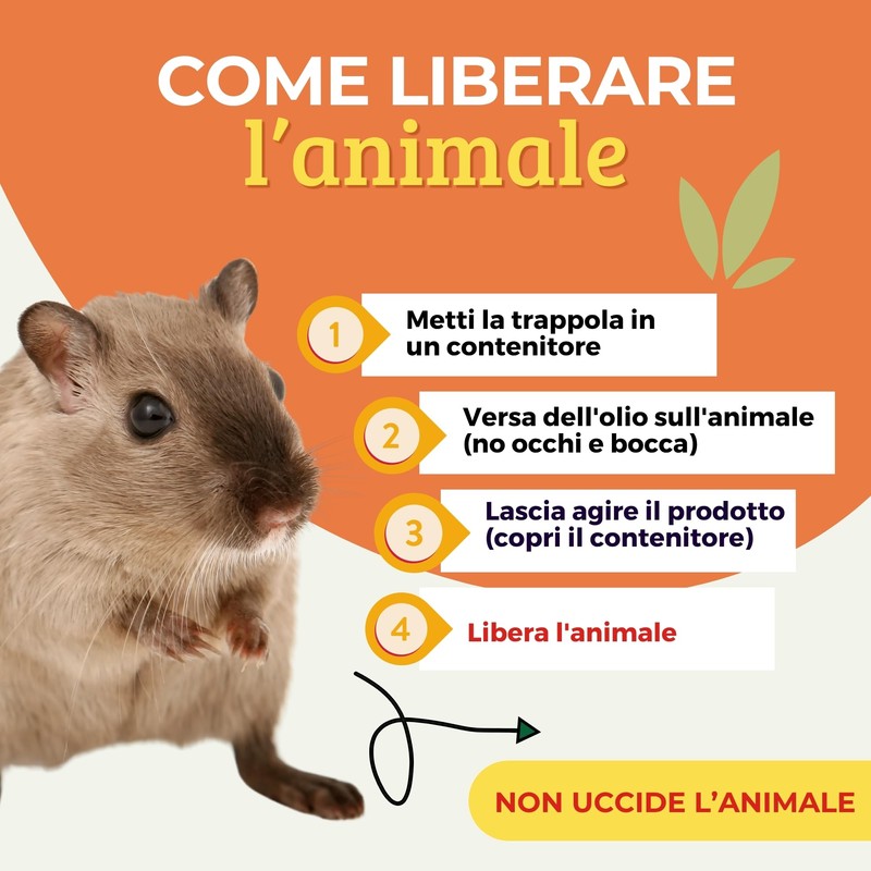 Albagarden - Trappola Adesiva MINI per Topi, Ratti, Scarafaggi, Formiche