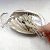 [Abalone Shell] Natural Seashell Dish, Smudging, Purifying, Cleansing, Meditation, White,