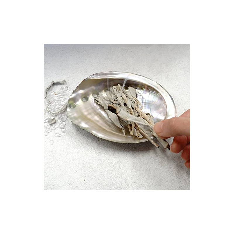 [Abalone Shell] Natural Seashell Dish, Smudging, Purifying, Cleansing, Meditation, White,