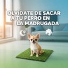 Fancy Pets Repuesto de Pasto Sintético para Tapete Doggie Grass