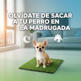 Fancy Pets Repuesto de Pasto Sintético para Tapete Doggie Grass Mini- Antimicrobiano y Resistente