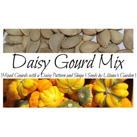 “Daisy” Mix Gourd Seeds – Decorative and Prolific Gourd – Harvest in 60 Days | Never GMO, Always Heirloom and Open-Pollinated | USA Grown Seeds by Liliana's Garden |