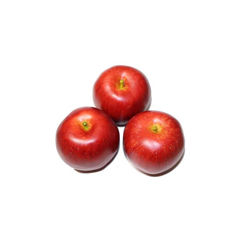 GuCra Apples Lifelike Model Set of 3 Food Sample Fruit