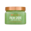TREE HUT, Shea Sugar Scrub Palm Grove, Exfoliante Corporal con