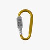 password lock carabiner 2ea